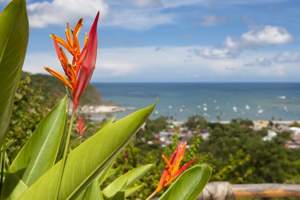 Pelican Eyes Resort And Spa San Juan del Sur Exterior photo